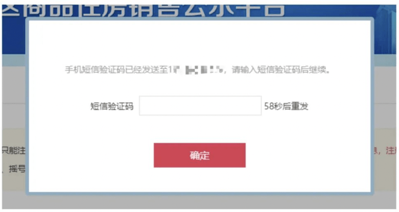 待域名确认环节中，如何有效验证域名确保无误？