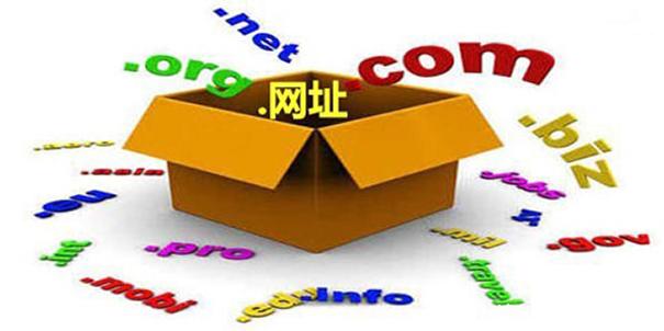 网站有两个域名怎么办?网站两个域名怎么设置才能不被降权 第3张 网站有两个域名怎么办?网站两个域名怎么设置才能不被降权 第3张