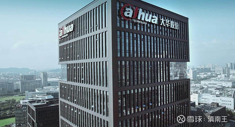 大华域名为何突然消失?背后的原因及影响揭秘! 第2张 大华域名为何突然消失?背后的原因及影响揭秘! 第2张