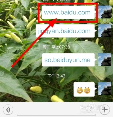 微信分享链接如何隐藏域名,微信分享链接隐藏域名方法 第1张 微信分享链接如何隐藏域名,微信分享链接隐藏域名方法 第1张