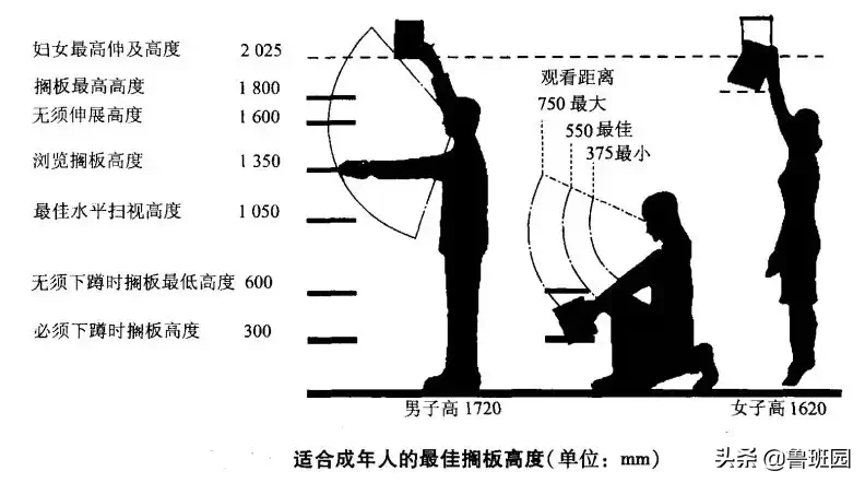 安全人机工程人体测量数据调查如何保障适配性与安全性? 第2张 安全人机工程人体测量数据调查如何保障适配性与安全性? 第2张