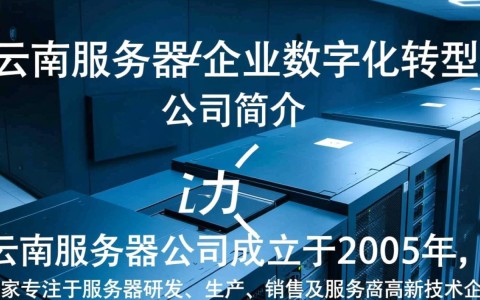 昆明服务服务器为何在业界备受关注？揭秘其优势与奥秘！