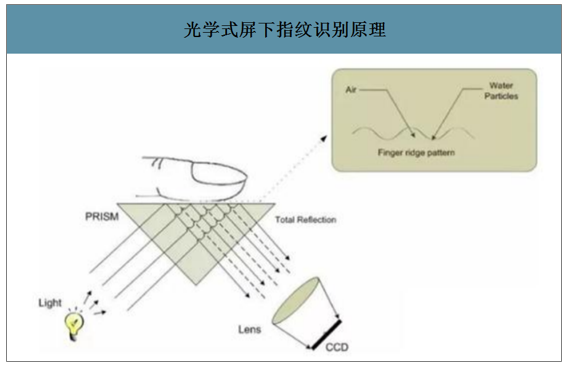 光学指纹图像技术支持是什么?光学指纹图像技术支持原理 第1张 光学指纹图像技术支持是什么?光学指纹图像技术支持原理 第1张