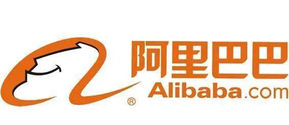 阿里巴巴独立域名是什么,阿里巴巴独立域名 第2张 阿里巴巴独立域名是什么,阿里巴巴独立域名 第2张