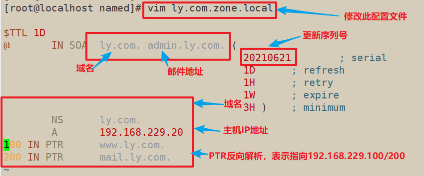 dns反向域名解析是什么意思，反向域名解析怎么设置