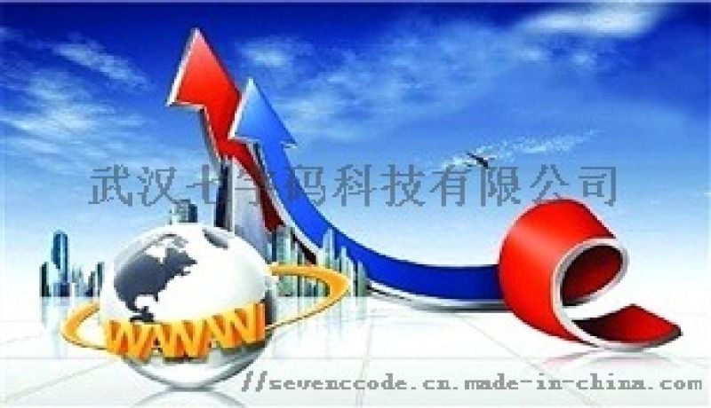 武汉网络开发公司哪家好？武汉专业网站开发公司排名推荐
