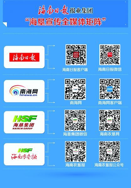 海南四定网站开发,为何选择此平台?有哪些优势与挑战? 第3张 海南四定网站开发,为何选择此平台?有哪些优势与挑战? 第3张