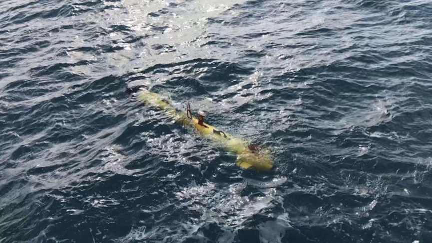 SaltyFish悉尼CN2 GIA EVPS怎么样?真实体验分享 第2张 SaltyFish悉尼CN2 GIA EVPS怎么样?真实体验分享 第2张