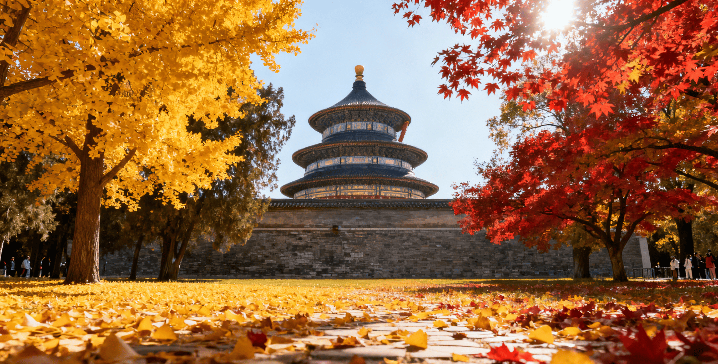 法兰克福VPS回程优化怎么选？BGPTO移动精品网选购攻略 第2张