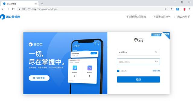 oray免费域名注册怎么弄，oray域名注册