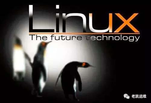 GNU/Linux新手入门常见疑问,从系统安装到命令行操作,你真的了解吗? 第3张 GNU/Linux新手入门常见疑问,从系统安装到命令行操作,你真的了解吗? 第3张