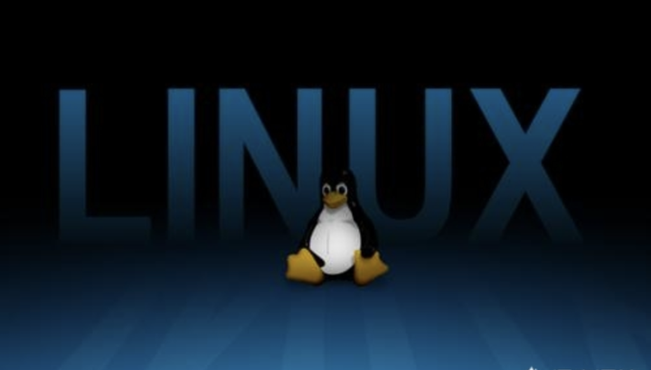 GNU/Linux新手入门常见疑问,从系统安装到命令行操作,你真的了解吗? 第2张 GNU/Linux新手入门常见疑问,从系统安装到命令行操作,你真的了解吗? 第2张