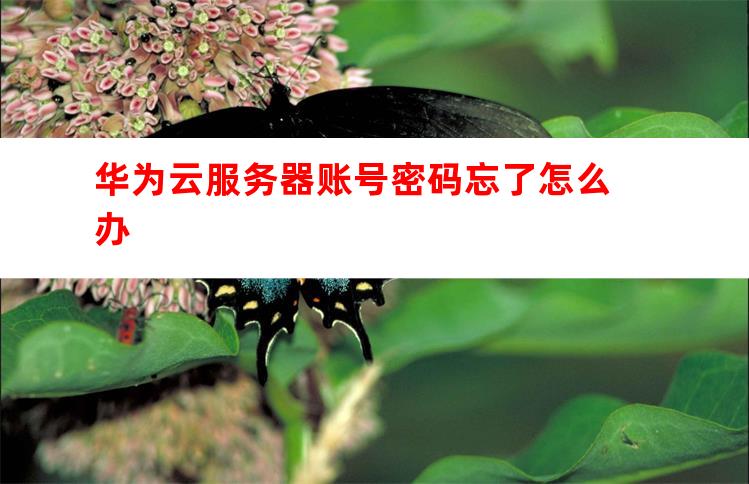 服务器账号密码忘了?服务器账号密码在哪找? 第2张 服务器账号密码忘了?服务器账号密码在哪找? 第2张