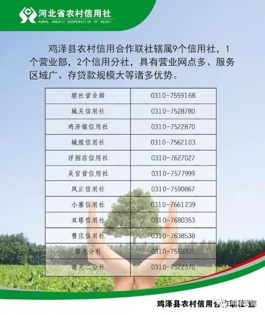 鸡泽网站开发价格是多少,鸡泽做网站一般要多少钱 第3张 鸡泽网站开发价格是多少,鸡泽做网站一般要多少钱 第3张