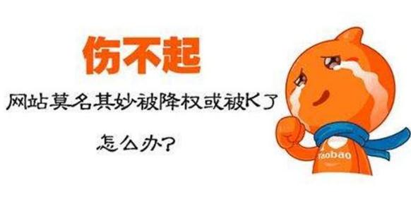 网站被误判惩罚,如何正确进行链接错误检查与恢复? 第3张 网站被误判惩罚,如何正确进行链接错误检查与恢复? 第3张