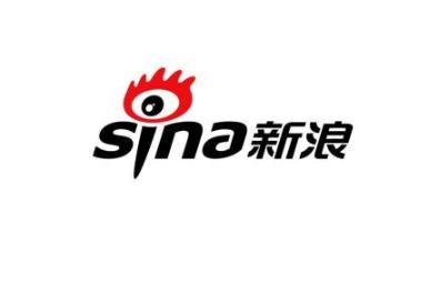 新浪的域名究竟是什么?揭秘其背后的网络奥秘! 第3张 新浪的域名究竟是什么?揭秘其背后的网络奥秘! 第3张