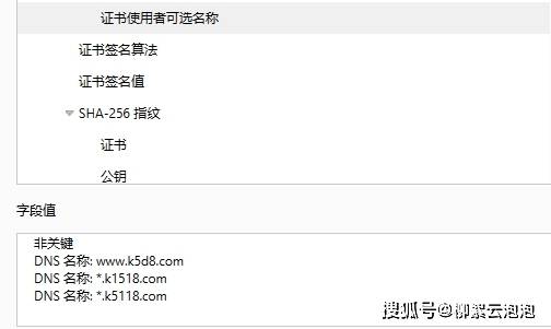 关于多域名证书SAN,您了解多少关键信息? 第1张 关于多域名证书SAN,您了解多少关键信息? 第1张