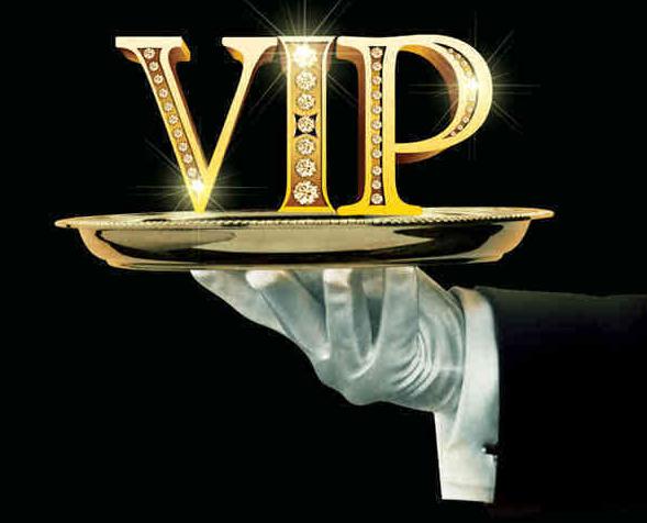 vip域名值钱吗?其市场价值与普通域名的区别及原因解析 第1张 vip域名值钱吗?其市场价值与普通域名的区别及原因解析 第1张
