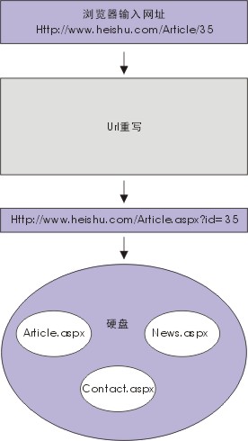 ASP.NET中获取网站路径的具体方法与常见问题解答? 第1张 ASP.NET中获取网站路径的具体方法与常见问题解答? 第1张