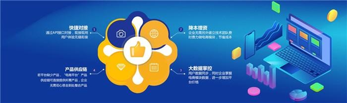 电商系统开发模块有哪些?电商系统开发需要哪些核心模块 第3张 电商系统开发模块有哪些?电商系统开发需要哪些核心模块 第3张