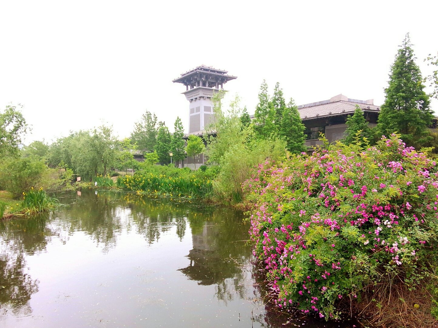 沛县徐州网站开发，徐州网站开发公司哪家好？