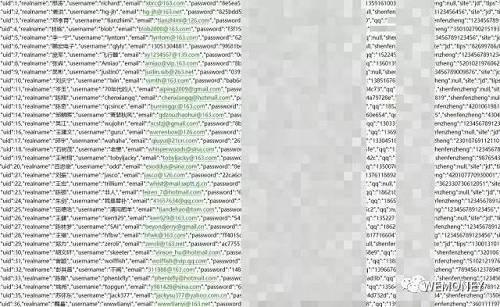 030qq的域名是这个神秘数字背后的真实含义是什么? 第1张 030qq的域名是这个神秘数字背后的真实含义是什么? 第1张