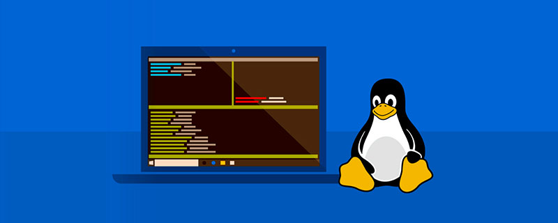 安全牛的Linux教程适合零基础小白吗? 第1张 安全牛的Linux教程适合零基础小白吗? 第1张