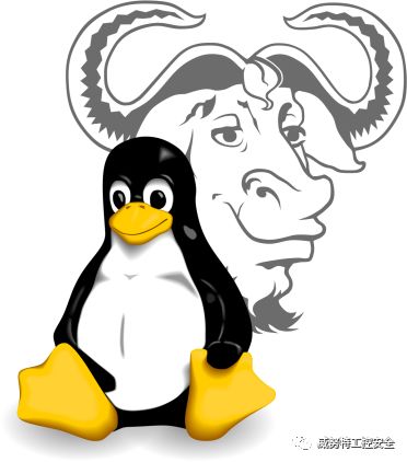 安全牛的Linux教程适合零基础小白吗? 第2张 安全牛的Linux教程适合零基础小白吗? 第2张