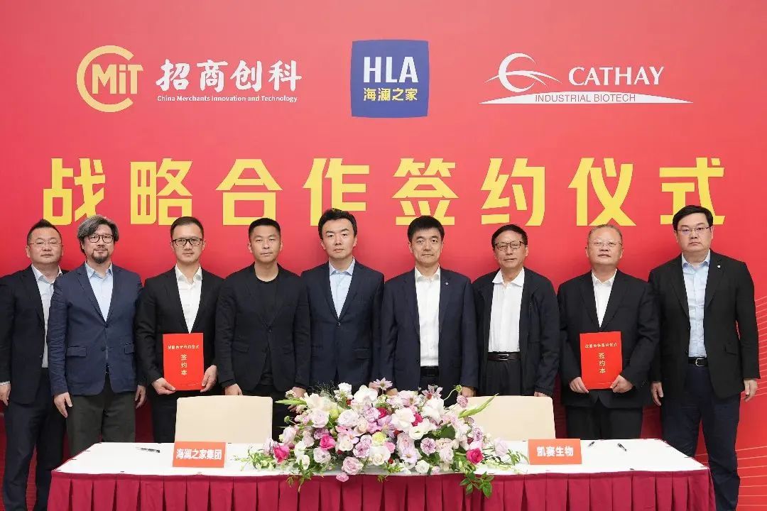 科技开发公司元项目签约，背后有何商业战略考量？ 第3张