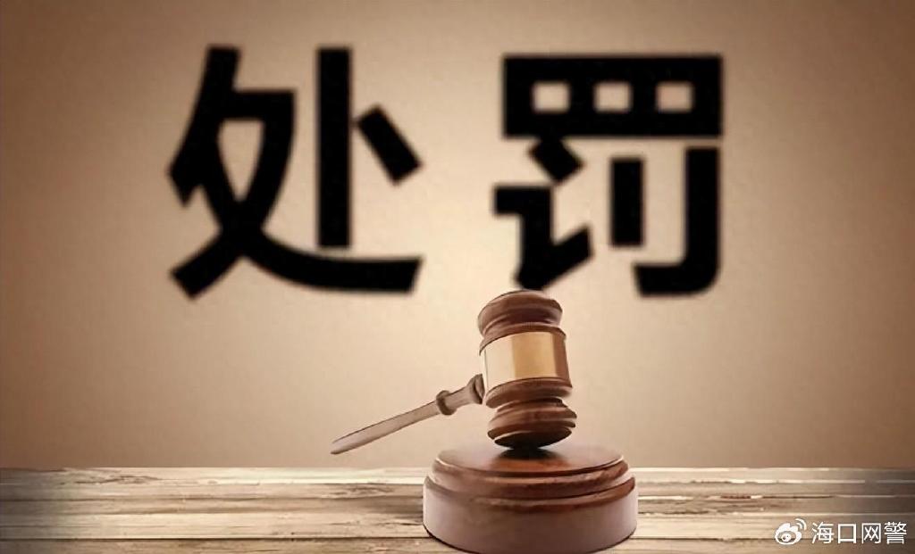 域名注册管理乱象为何频发?监管失职与行业潜规则如何交织? 第3张 域名注册管理乱象为何频发?监管失职与行业潜规则如何交织? 第3张