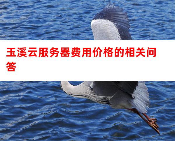 玉溪服务器租用价格多少，哪家服务商靠谱？