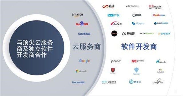 软件应用开发领域，都有哪些知名公司参与其中？