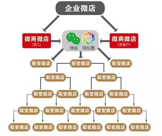 品牌微信商城系统开发,有哪些关键因素和注意事项? 第1张 品牌微信商城系统开发,有哪些关键因素和注意事项? 第1张