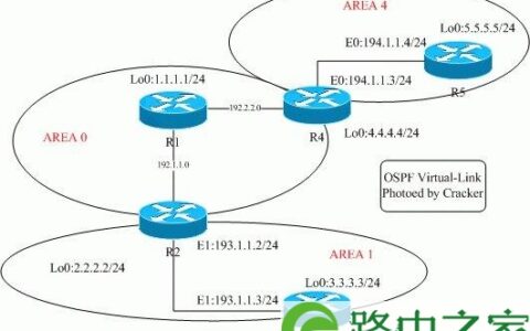 如何配置OSPF虚链路?详细虚链路配置步骤解析 第1张 如何配置OSPF虚链路?详细虚链路配置步骤解析 第1张