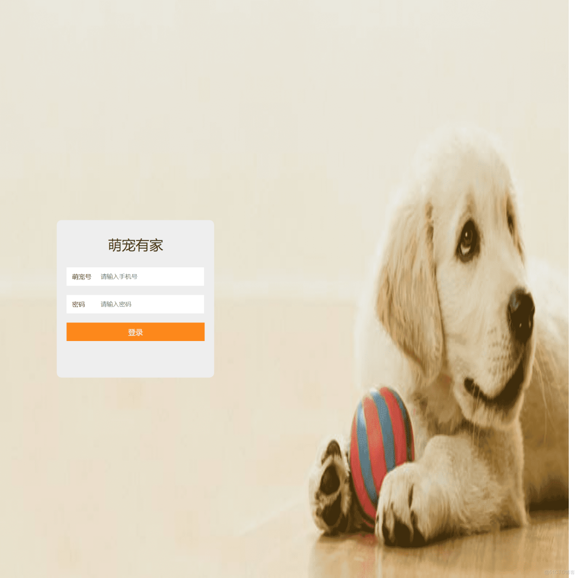 宠物网站开发与建设,如何打造高效、用户友好的在线宠物服务平台? 第3张 宠物网站开发与建设,如何打造高效、用户友好的在线宠物服务平台? 第3张