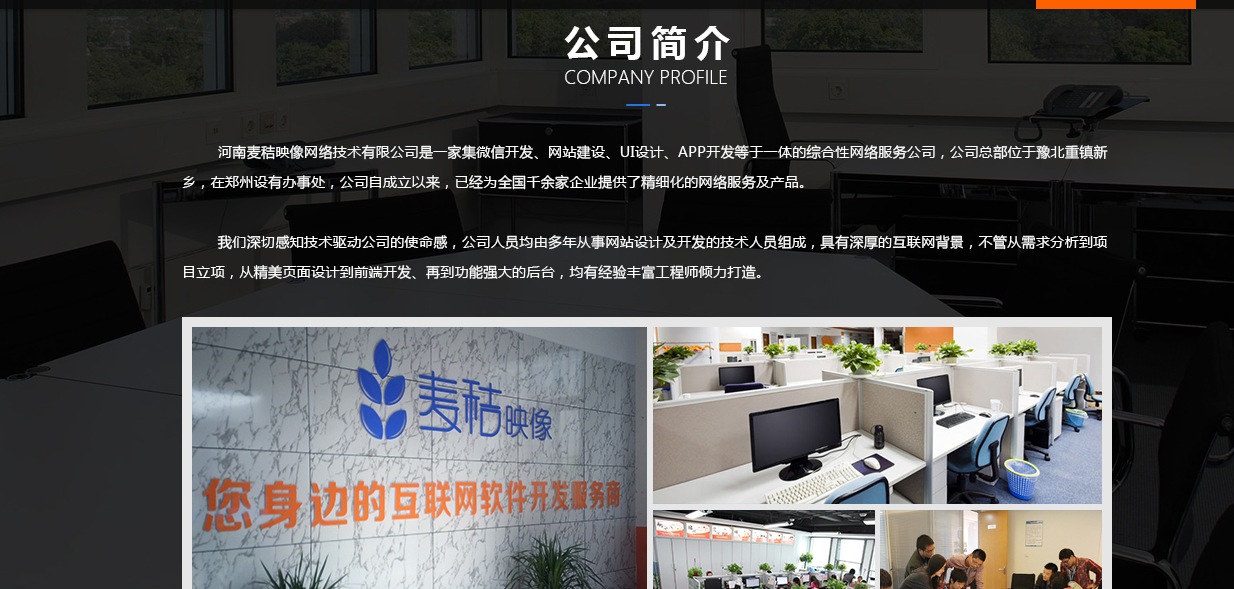 平顶山网站开发哪家好?平顶山专业网站建设公司推荐 第2张 平顶山网站开发哪家好?平顶山专业网站建设公司推荐 第2张
