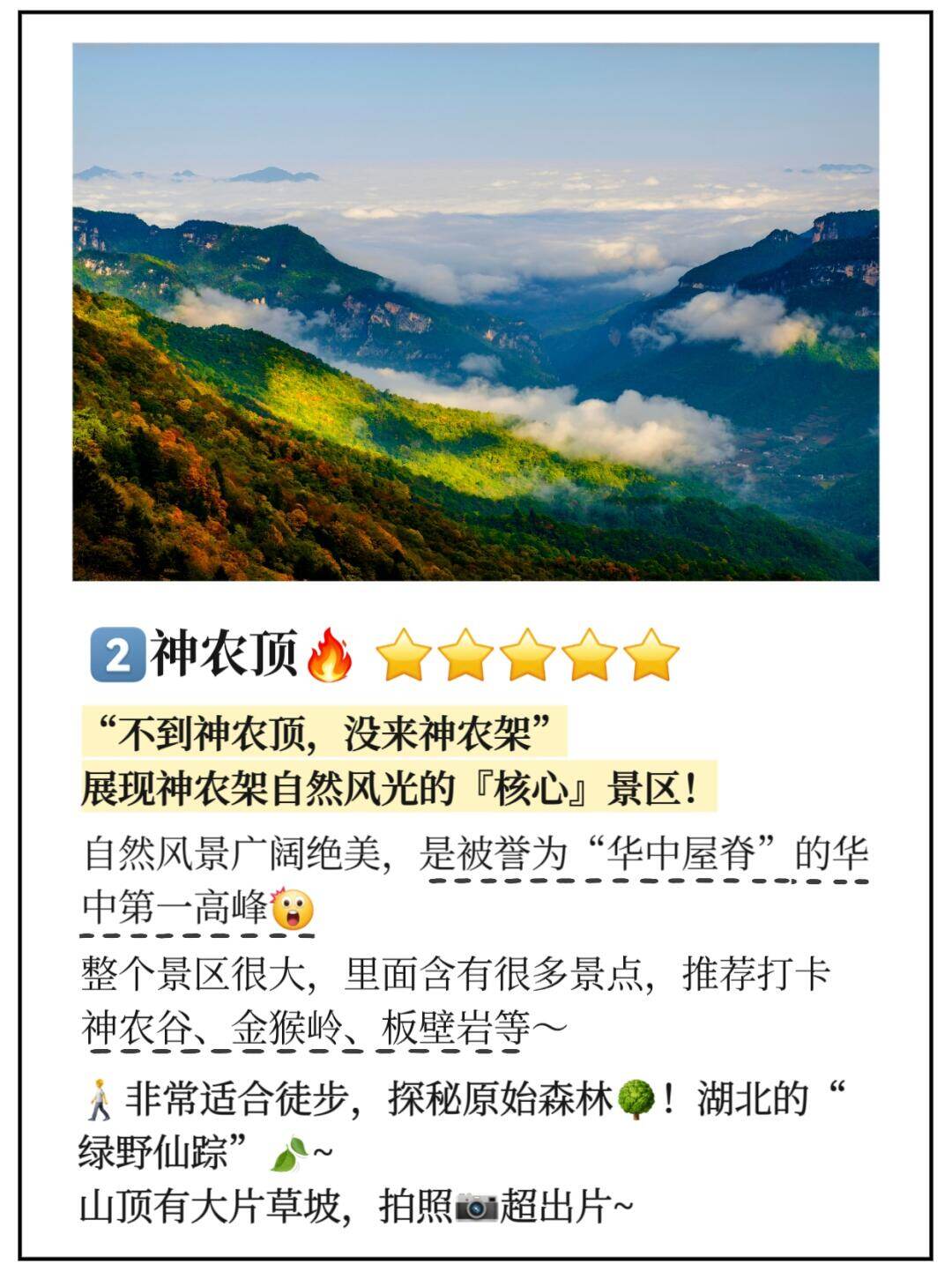神农架网站设计开发哪家好?神农架专业建站公司推荐 第2张 神农架网站设计开发哪家好?神农架专业建站公司推荐 第2张