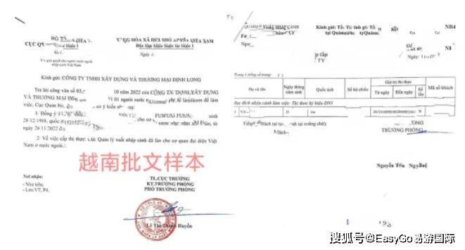 什么是越南域名?.vn域名注册流程与常见问题解答 第2张 什么是越南域名?.vn域名注册流程与常见问题解答 第2张