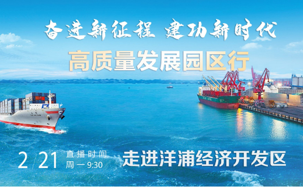 洋浦经济开发区网站,揭秘其背后发展潜力与挑战? 第1张 洋浦经济开发区网站,揭秘其背后发展潜力与挑战? 第1张