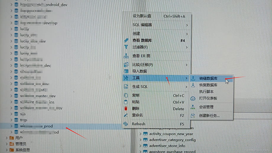 数据库转储怎么转 第2张 数据库转储怎么转 第2张