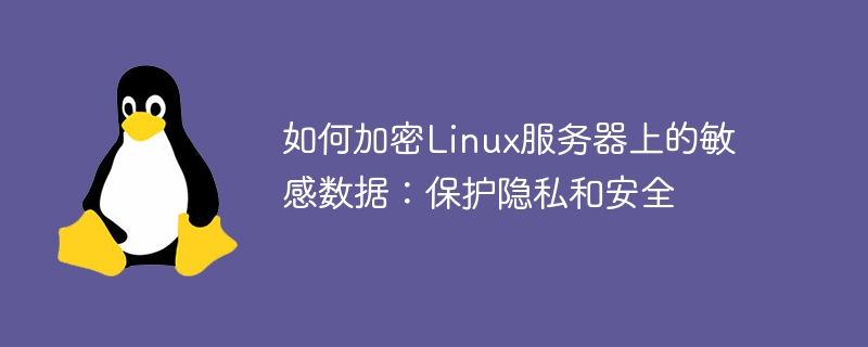 如何加固Linux服务器以提升安全防护能力？