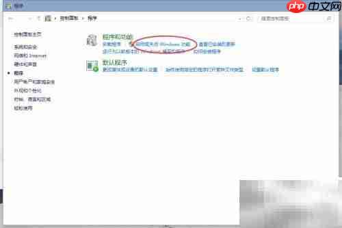 win10 web服务器怎么搭建?本地部署步骤有哪些? 第2张 win10 web服务器怎么搭建?本地部署步骤有哪些? 第2张