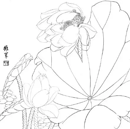 白描提示Sketch怎么用,白描提示词怎么写