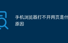 为什么我的手机浏览器 第2张 为什么我的手机浏览器 第2张