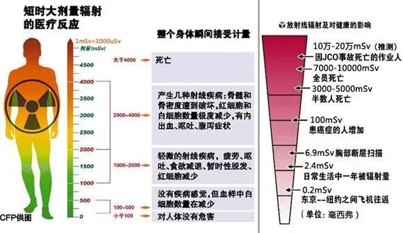在何种安全距离内,服务器辐射对人体无害?探讨服务器辐射的防护边界。 第2张 在何种安全距离内,服务器辐射对人体无害?探讨服务器辐射的防护边界。 第2张