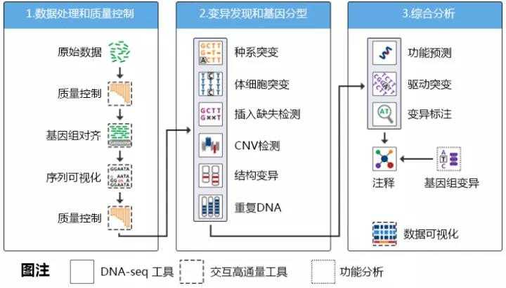 ena数据库中基因组下载方法及步骤详解,如何高效获取基因组数据? 第3张 ena数据库中基因组下载方法及步骤详解,如何高效获取基因组数据? 第3张