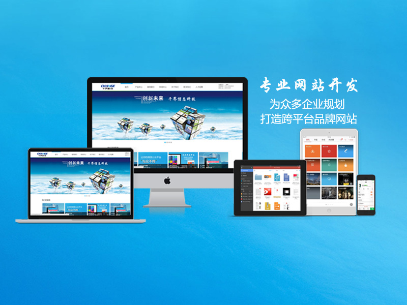 网站开发建设专业,做网站找哪家专业公司 第3张 网站开发建设专业,做网站找哪家专业公司 第3张