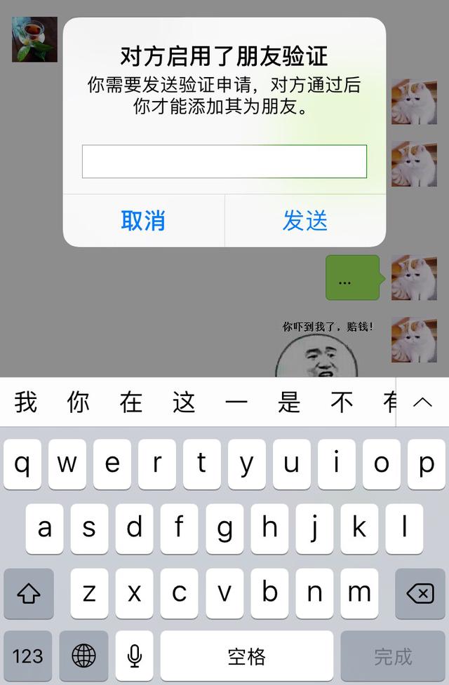 为何即便被拉黑,我还能尝试加回对方好友? 第2张 为何即便被拉黑,我还能尝试加回对方好友? 第2张