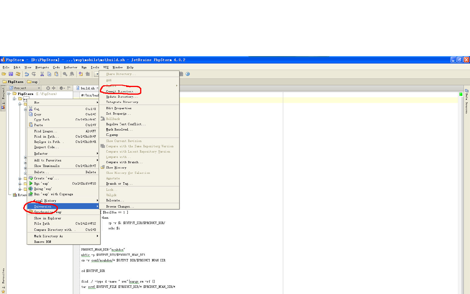 phpstorm怎么配置svn,phpstorm svn配置教程 第3张 phpstorm怎么配置svn,phpstorm svn配置教程 第3张