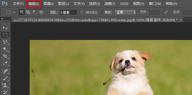 如何精确操作PS软件实现图片按比例精准缩放? 第2张 如何精确操作PS软件实现图片按比例精准缩放? 第2张